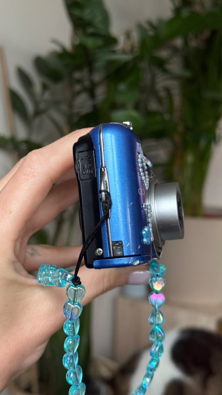 Nikon Coolpix L23
