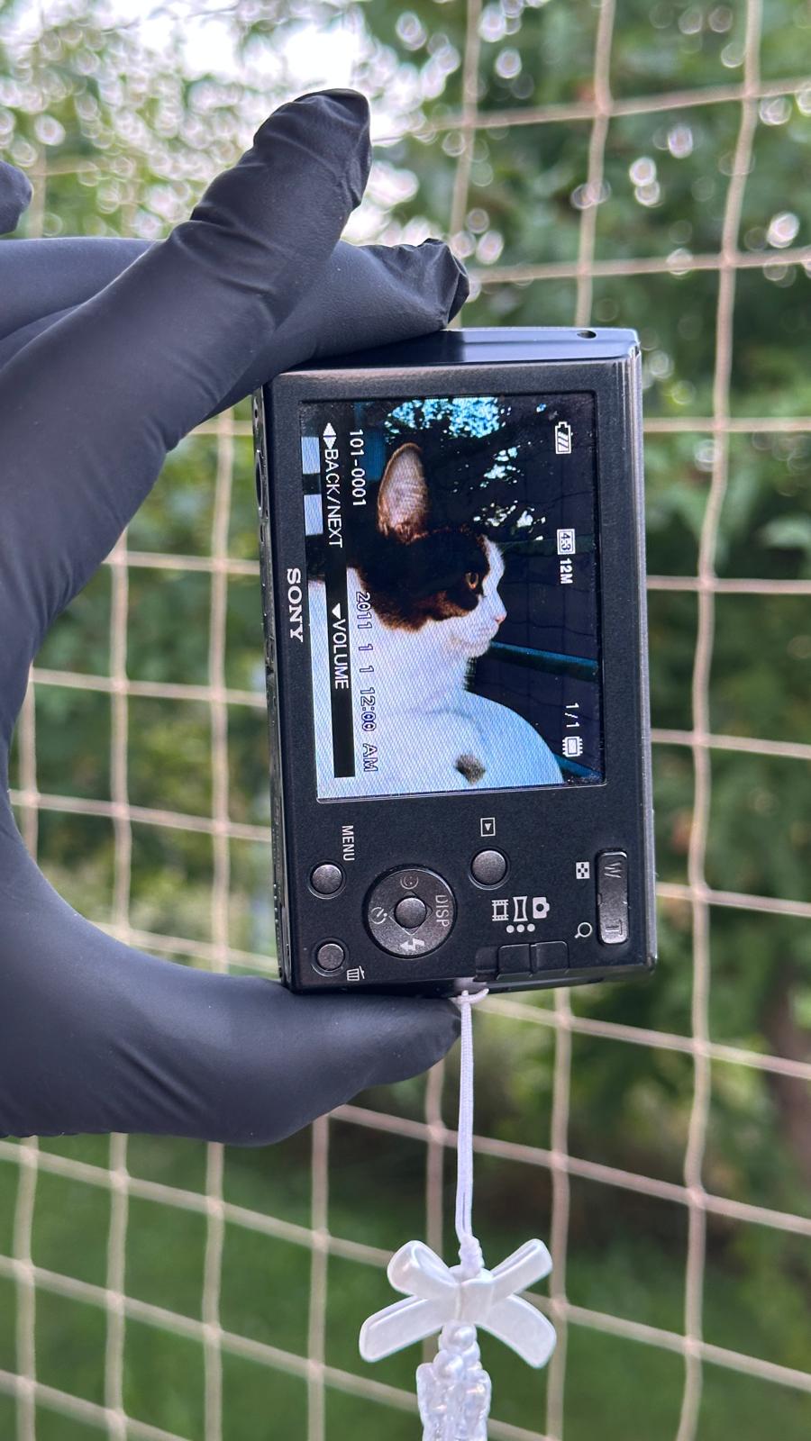 Sony Cyber-shot W510