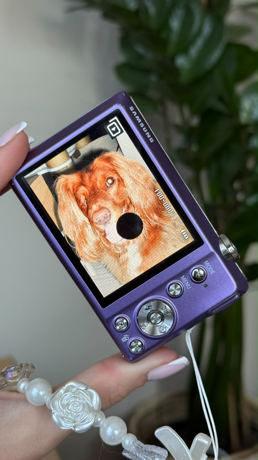 FujiFilm F55